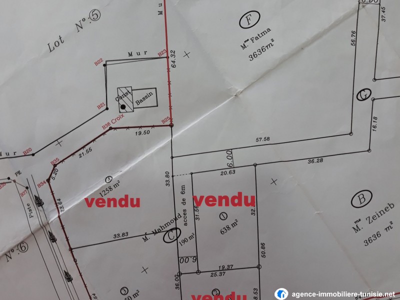 images_immo/tunis_immobilier200121plan de terrain.jpg